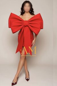 salma ctp ag ac h2o dic25 foto 9